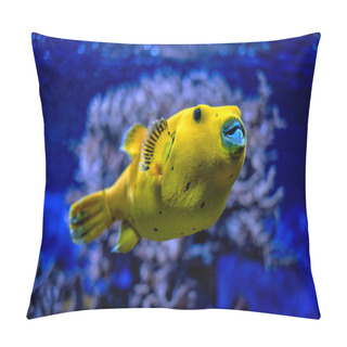 Personality  Yellow Golden Puffer Guineafowl Puffer Fish Underwater Pillow Covers