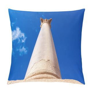 Personality  Pompey's Pillar And Ancient Sphinx Pillow Covers
