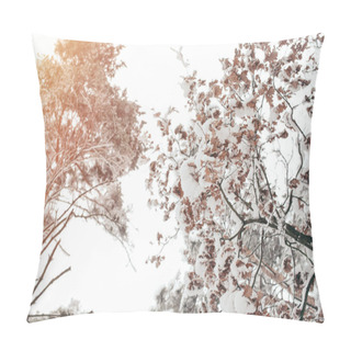 Personality  Low Angle View Of Snowy Tree In Winter Forest Pillow Covers