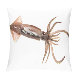 Personality  Fresh Squid Isolated On White Background Pillow Covers