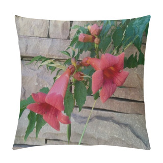 Personality  Morning Calm Trumpet Creeper Campsis Grandiflora Pillow Covers