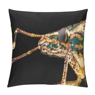 Personality  Profile Portrait Of A Stink Bug Pillow Covers