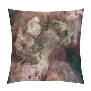 Personality  Pygmy Seahorse (Hippocampus Bargabanti) Pillow Covers