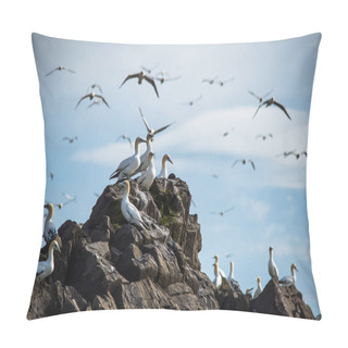 Personality  Gannets Birds On Rock Pillow Covers
