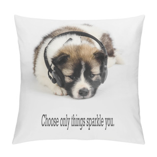 Personality  Puppy Dog With Headphones Listening To Music With Message Choose Pillow Covers