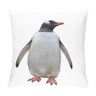 Personality  Gentoo Penguin Isolated On White Background Pillow Covers