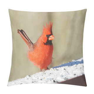 Personality  Northern Cardinal (Cardinalis Cardinalis) Backyard Bird Of North America Pillow Covers