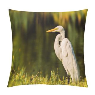 Personality  A Big Egret Land And Stares Right At Me! Pillow Covers