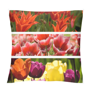 Personality  Collage From Different Colored Tulips Pillow Covers