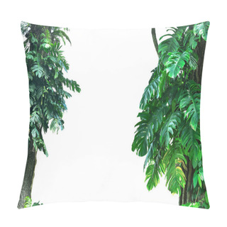 Personality  Forest Tree Trunks With Tropical Foliage Plants, Forming A Frame In Nature, Isolated On A White Background With A Cliping Path Pillow Covers