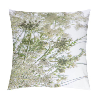Personality  Bouquet Of White Flowers On A White Background. Wild Carrot And Yarrow. Simple Summer Flower. Nature Flora Aesthetic. Petal Bud. Floral Botanical. Minimal Style. Pillow Covers