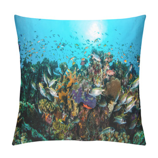 Personality  Various Coral Fishes, Squirrelfish Swim Above Coral Reefs In Gili Lombok Nusa Tenggara Barat Indonesia Underwater Photo Pillow Covers
