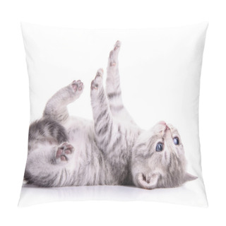 Personality  Tabby Scottish Kitten Pillow Covers