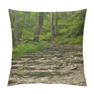 Personality  Hiking Trail In The Mountains. Path Among The Rocks In The Beech Forest. Tourism And Recreation. Pillow Covers