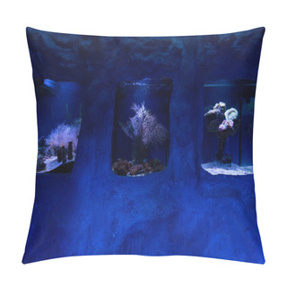Personality Square Aquariums With Blue Lighting In Oceanarium Pillow Covers