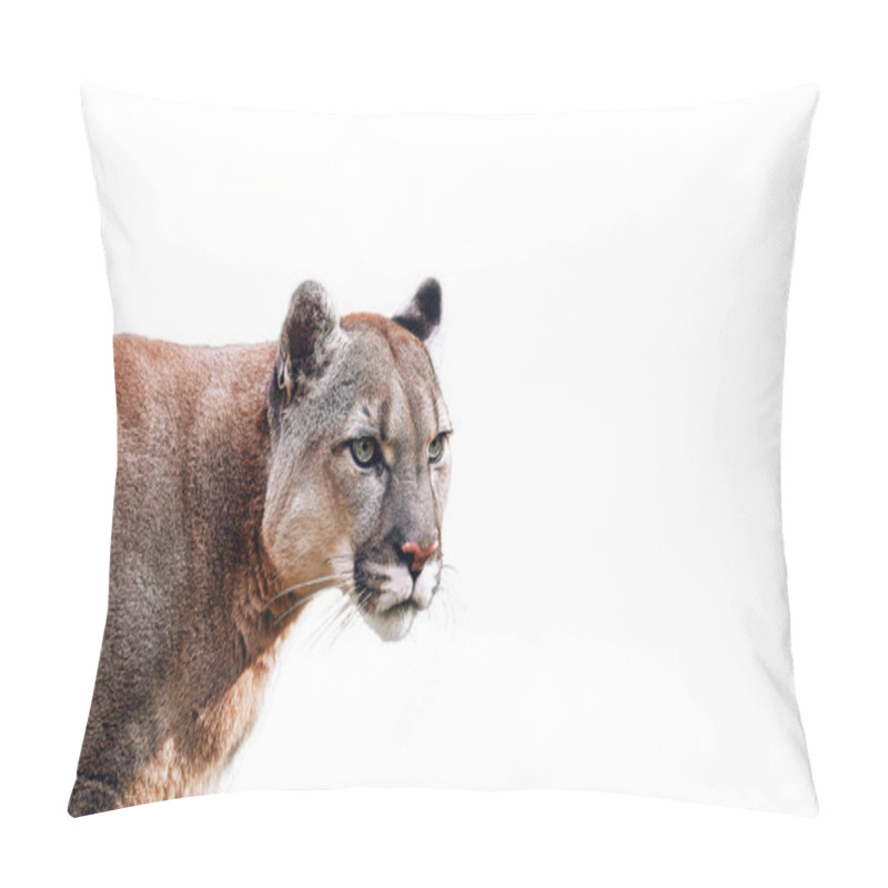 Personality  Portrait Of Beautiful Puma. Cougar, Mountain Lion Pillow Covers