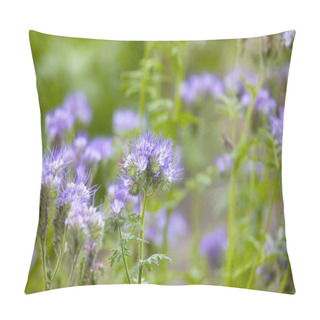 Personality  Phacelia On A Green Blurred Background. Plant For Bees Pillow Covers
