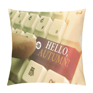 Personality  Conceptual Hand Writing Showing Hello, Autumn. Business Photo Text Greeting Used When Embracing The Change From Summer To Winter. Pillow Covers