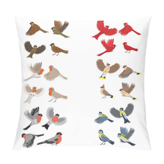 Personality  Collection Of Birds Robin, Red Cardinal, Tits, Sparrow, Bullfinches, Waxwing. Isolated On White Background. Pillow Covers