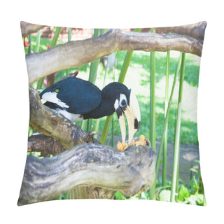 Personality  Wreathed Hornbill (Aceros Undulatus) Pillow Covers