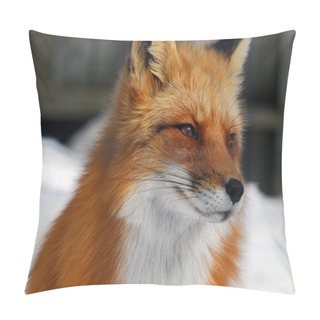 Personality  Red Fox Pillow Covers