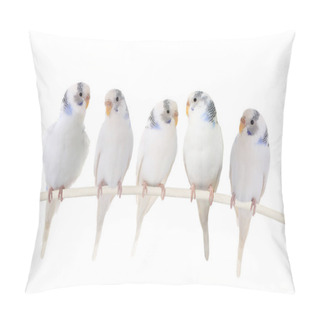 Personality  Budgie On The White Pillow Covers