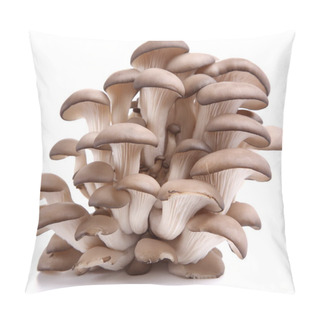 Personality  Oyster Mushrooms On A White Background Pillow Covers