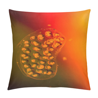 Personality  Bubble Snails, Eggs Of Snails Pillow Covers