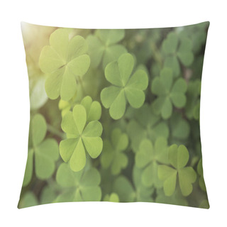 Personality  Green Clover Leaves Heart For Background Nature.  Pillow Covers