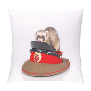 Personality  Russian Red Army Ferret Pillow Covers