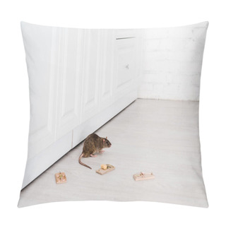 Personality  Small Rat Near Wooden Mousetraps And Cube Of Cheese On Floor  Pillow Covers