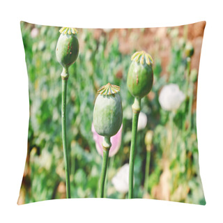 Personality  Opium Seed Pillow Covers