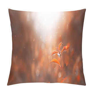 Personality  Red Autumn Leaves In A Forest At Sunset. Pillow Covers