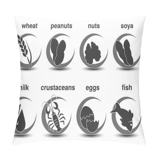 Personality  Common Food Allergens Pillow Covers