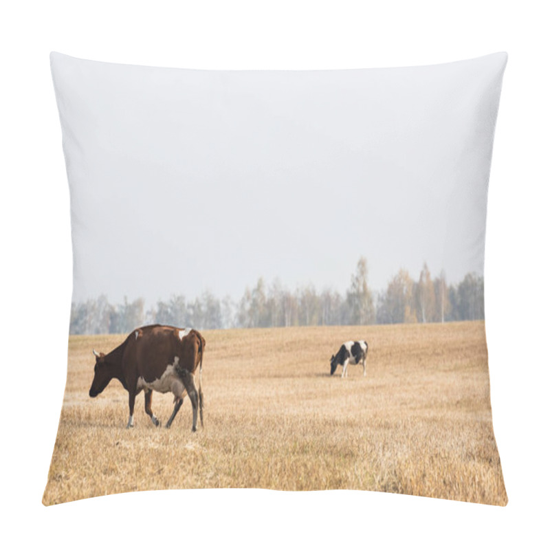 Personality  Cows Walking In Field Against Grey Sky  Pillow Covers