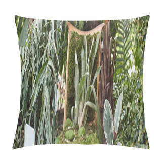 Personality  Green Plant Growing From Wooden Chair Inside Of Greenhouse, Fresh Foliage And Horticulture Banner Pillow Covers