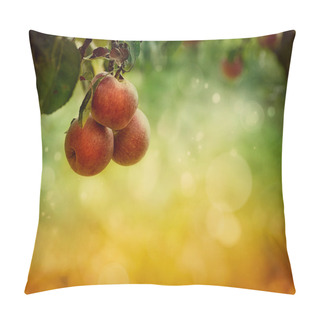 Personality  Apples Background Pillow Covers