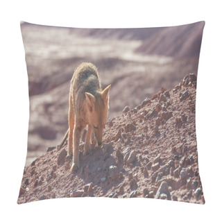 Personality  South American Gray Fox (Lycalopex Griseus), Patagonian Fox, In Patagonia Mountains Pillow Covers