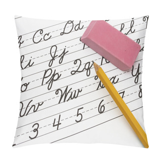 Personality  Learning Cursive Writing Pillow Covers