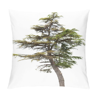 Personality  Single Fir Tree Pillow Covers
