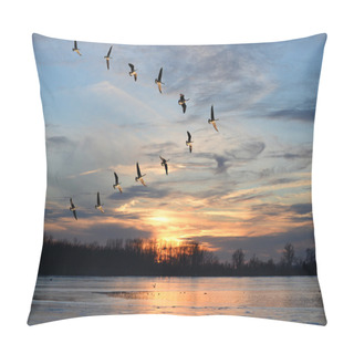 Personality  Canadian Geese Flying In V Formation Pillow Covers
