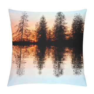 Personality  Larch Trees At The Lake Pillow Covers