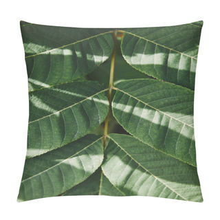 Personality  Close Up Of Green Leaves On Twig With Sunlight In Garden Pillow Covers