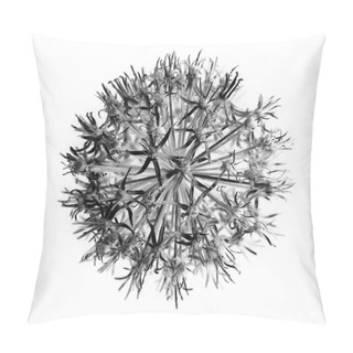 Personality  Fluffy White Dandelion Pillow Covers