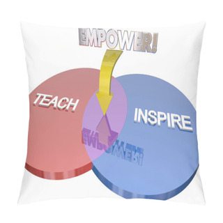 Personality  Venn Diagram 3d Illustration Pillow Covers