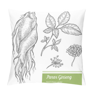 Personality  Ginseng Root, Leaf, Berry, Flower Isolated On White Background. Organic Nature Chinese And Korean Herb. Hand Drawn Vector Illustration Pillow Covers