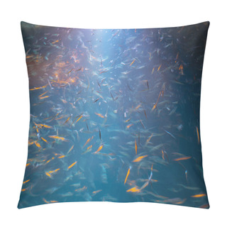 Personality  Deep Blue On Water Illuminated By Light Shing Above Attracting S Pillow Covers