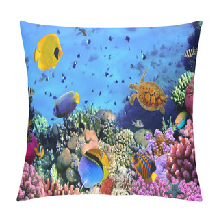 Personality Photo Of A Coral Colony Pillow Covers