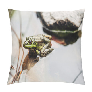 Personality  Selective Focus Of Green Frog In River Outside  Pillow Covers