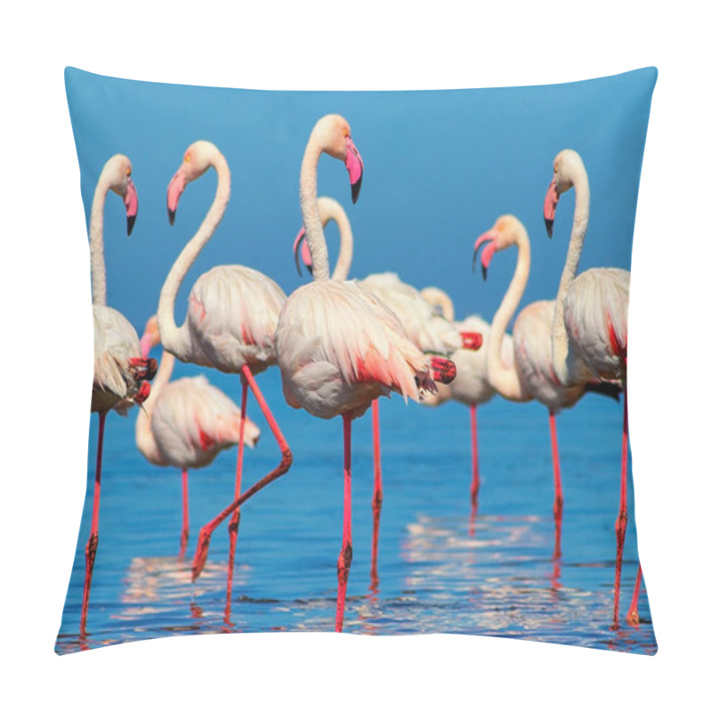 Personality  Wild african birds. Group of African white flamingo birds and their reflection on the blue water.  pillow covers